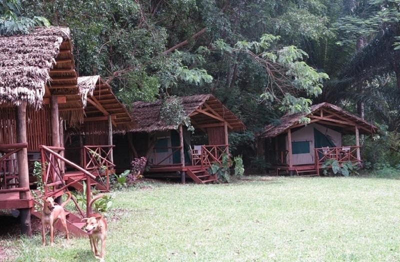 Simbamwenni Lodge And Camping Morogoro ภายนอก รูปภาพ