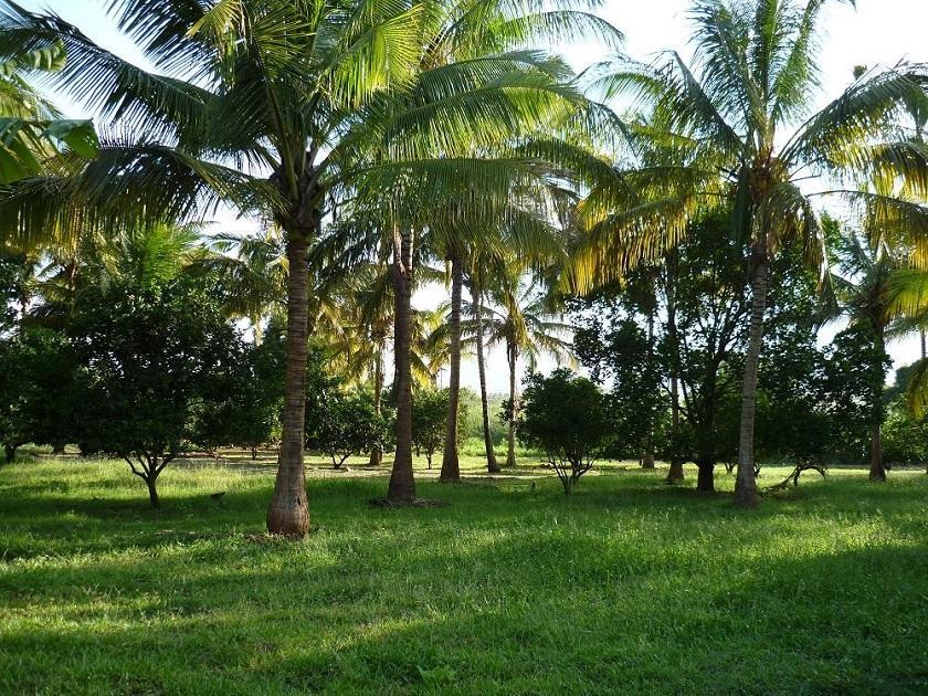 Simbamwenni Lodge And Camping Morogoro ภายนอก รูปภาพ